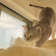 まゆ★ GW前 レースクィーン