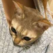 まゆ★ 雨 レースクィーン