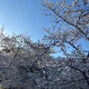 ヒメ日記 2025/04/05 12:12 投稿 ちか☆爆乳ロリ系神カワJK JKサークル