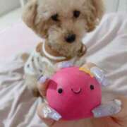 ヒメ日記 2025/05/07 21:43 投稿 ちか☆爆乳ロリ系神カワJK JKサークル