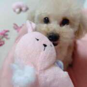 ヒメ日記 2025/05/14 23:51 投稿 ちか☆爆乳ロリ系神カワJK JKサークル