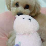 ヒメ日記 2025/05/15 00:23 投稿 ちか☆爆乳ロリ系神カワJK JKサークル