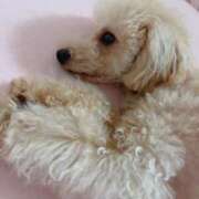 ヒメ日記 2025/05/15 23:03 投稿 ちか☆爆乳ロリ系神カワJK JKサークル