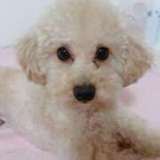 ヒメ日記 2025/05/17 23:45 投稿 ちか☆爆乳ロリ系神カワJK JKサークル