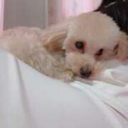 ヒメ日記 2025/05/18 22:04 投稿 ちか☆爆乳ロリ系神カワJK JKサークル