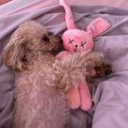 ヒメ日記 2025/05/20 23:49 投稿 ちか☆爆乳ロリ系神カワJK JKサークル