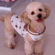 ヒメ日記 2025/05/21 22:32 投稿 ちか☆爆乳ロリ系神カワJK JKサークル