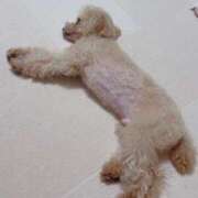 ヒメ日記 2025/05/23 23:51 投稿 ちか☆爆乳ロリ系神カワJK JKサークル