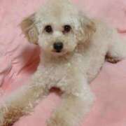 ヒメ日記 2025/05/28 22:36 投稿 ちか☆爆乳ロリ系神カワJK JKサークル