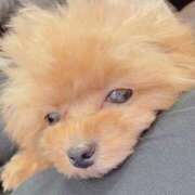 ヒメ日記 2025/05/30 16:48 投稿 ちか☆爆乳ロリ系神カワJK JKサークル