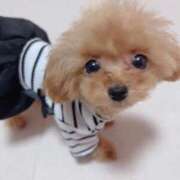 ヒメ日記 2025/05/30 18:57 投稿 ちか☆爆乳ロリ系神カワJK JKサークル