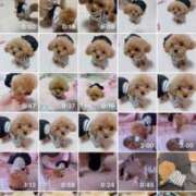 ヒメ日記 2025/05/30 23:58 投稿 ちか☆爆乳ロリ系神カワJK JKサークル