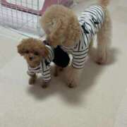 ヒメ日記 2025/05/31 23:15 投稿 ちか☆爆乳ロリ系神カワJK JKサークル