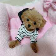 ヒメ日記 2025/06/02 15:36 投稿 ちか☆爆乳ロリ系神カワJK JKサークル