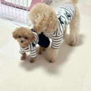 ヒメ日記 2025/06/03 23:31 投稿 ちか☆爆乳ロリ系神カワJK JKサークル