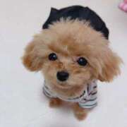 ヒメ日記 2025/06/05 23:32 投稿 ちか☆爆乳ロリ系神カワJK JKサークル