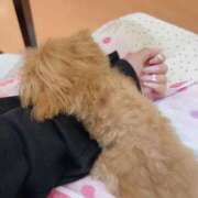 ヒメ日記 2025/06/06 23:59 投稿 ちか☆爆乳ロリ系神カワJK JKサークル