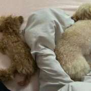 ヒメ日記 2025/06/12 23:03 投稿 ちか☆爆乳ロリ系神カワJK JKサークル