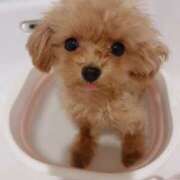 ヒメ日記 2025/06/13 23:31 投稿 ちか☆爆乳ロリ系神カワJK JKサークル