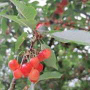 ヒメ日記 2025/06/16 17:27 投稿 ちか☆爆乳ロリ系神カワJK JKサークル