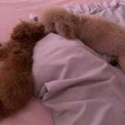 ヒメ日記 2025/06/17 21:58 投稿 ちか☆爆乳ロリ系神カワJK JKサークル