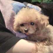 ヒメ日記 2025/06/18 04:39 投稿 ちか☆爆乳ロリ系神カワJK JKサークル