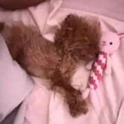 ヒメ日記 2025/06/22 07:23 投稿 ちか☆爆乳ロリ系神カワJK JKサークル