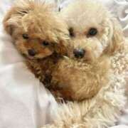 ヒメ日記 2025/06/25 23:32 投稿 ちか☆爆乳ロリ系神カワJK JKサークル