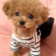 ヒメ日記 2025/07/02 12:16 投稿 ちか☆爆乳ロリ系神カワJK JKサークル