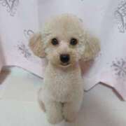 ヒメ日記 2025/07/09 22:51 投稿 ちか☆爆乳ロリ系神カワJK JKサークル