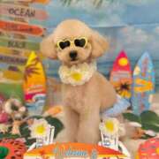 ヒメ日記 2025/07/12 12:06 投稿 ちか☆爆乳ロリ系神カワJK JKサークル