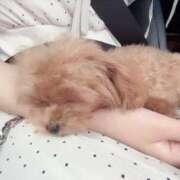 ヒメ日記 2025/07/14 22:59 投稿 ちか☆爆乳ロリ系神カワJK JKサークル