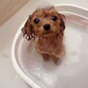 ヒメ日記 2025/07/14 23:41 投稿 ちか☆爆乳ロリ系神カワJK JKサークル