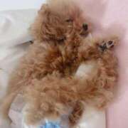 ヒメ日記 2025/07/19 12:11 投稿 ちか☆爆乳ロリ系神カワJK JKサークル