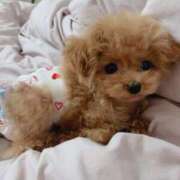 ヒメ日記 2025/07/20 03:36 投稿 ちか☆爆乳ロリ系神カワJK JKサークル