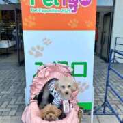 ヒメ日記 2025/07/21 20:27 投稿 ちか☆爆乳ロリ系神カワJK JKサークル