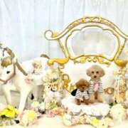 ヒメ日記 2025/07/21 20:40 投稿 ちか☆爆乳ロリ系神カワJK JKサークル