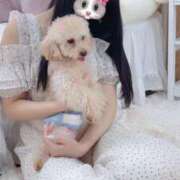 ヒメ日記 2025/07/23 23:02 投稿 ちか☆爆乳ロリ系神カワJK JKサークル