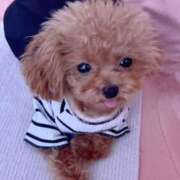 ヒメ日記 2025/07/24 23:57 投稿 ちか☆爆乳ロリ系神カワJK JKサークル