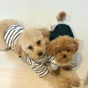 ヒメ日記 2025/07/25 05:42 投稿 ちか☆爆乳ロリ系神カワJK JKサークル