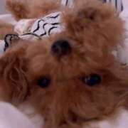 ヒメ日記 2025/07/25 23:46 投稿 ちか☆爆乳ロリ系神カワJK JKサークル