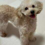 ヒメ日記 2025/07/26 07:51 投稿 ちか☆爆乳ロリ系神カワJK JKサークル