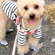 ヒメ日記 2025/07/29 23:55 投稿 ちか☆爆乳ロリ系神カワJK JKサークル