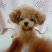 ヒメ日記 2025/07/30 22:41 投稿 ちか☆爆乳ロリ系神カワJK JKサークル