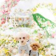 ヒメ日記 2025/08/01 23:52 投稿 ちか☆爆乳ロリ系神カワJK JKサークル