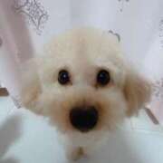 ヒメ日記 2025/08/02 23:59 投稿 ちか☆爆乳ロリ系神カワJK JKサークル