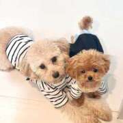 ヒメ日記 2025/08/03 23:53 投稿 ちか☆爆乳ロリ系神カワJK JKサークル