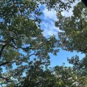 ヒメ日記 2025/08/09 16:58 投稿 ちか☆爆乳ロリ系神カワJK JKサークル