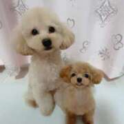 ヒメ日記 2025/08/11 14:11 投稿 ちか☆爆乳ロリ系神カワJK JKサークル