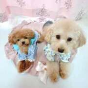 ヒメ日記 2025/08/16 13:42 投稿 ちか☆爆乳ロリ系神カワJK JKサークル